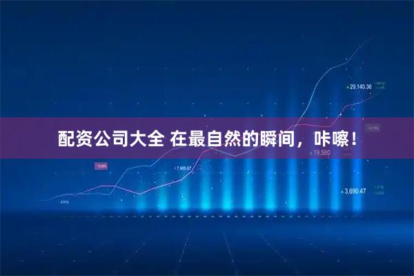 配资公司大全 在最自然的瞬间，咔嚓！