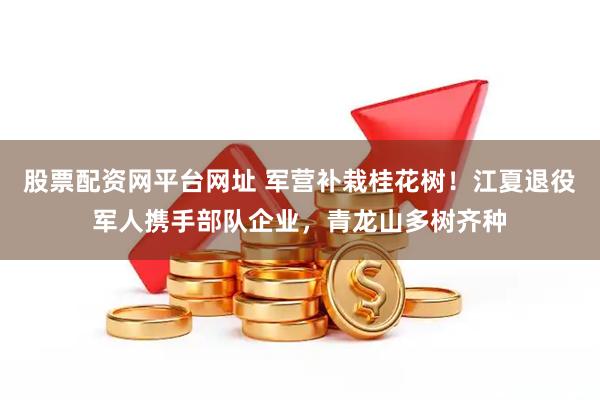 股票配资网平台网址 军营补栽桂花树！江夏退役军人携手部队企业，青龙山多树齐种