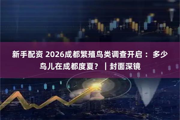 新手配资 2026成都繁殖鸟类调查开启 ：多少鸟儿在成都度夏？｜封面深镜